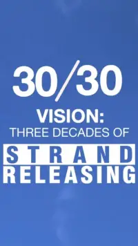 Poster to the movie "30/30 Vision: Three Decades of Strand Releasing" #986713