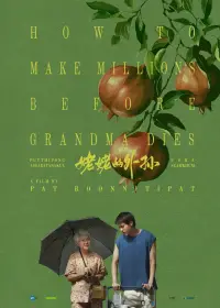 Poster to the movie "How To Make Millions Before Grandma Dies" #942354