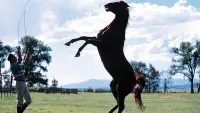 Backdrop to the movie "The Horse Whisperer" #685887