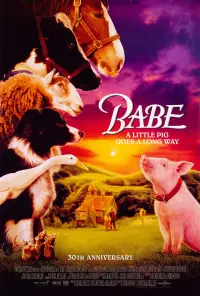 Poster to the movie "Babe" #961975