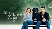 Backdrop to the movie "Must Love Dogs" #969759