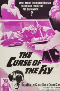 Poster to the movie "Curse of the Fly" #973225