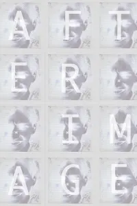 Poster to the movie "Afterimage" #736040