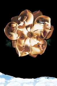 Poster to the movie "Magnolia" #805806