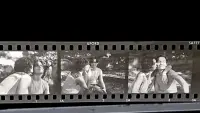Backdrop to the movie "Falando das Flores" #566958