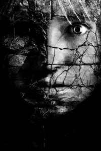 Poster to the movie "The Ruins" #693601