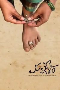 Poster to the movie "Mallesham" #1025324