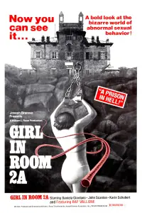 Poster to the movie "The Girl in Room 2A" #1154178