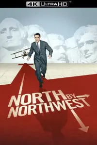 Poster to the movie "North by Northwest" #938388