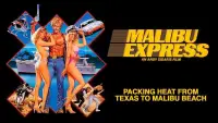 Backdrop to the movie "Malibu Express" #957645