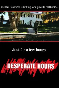 Poster to the movie "Desperate Hours" #626681