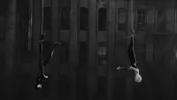 Backdrop to the movie "Spider-Man: Across the Spider-Verse" #906274