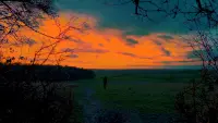 Backdrop to the movie "My Friend, Jackson" #712952