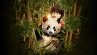 Backdrop to the movie "Moon The Panda" #742049