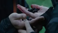 Backdrop to the movie "The Hunger Games" #766962