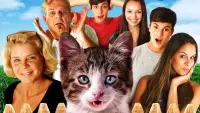 Backdrop to the movie "A Talking Cat!?!" #729180