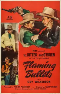 Poster to the movie "Flaming Bullets" #1178122