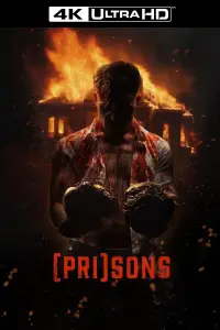 Poster to the movie "(Pri)sons" #983687