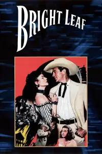 Poster to the movie "Bright Leaf" #965653