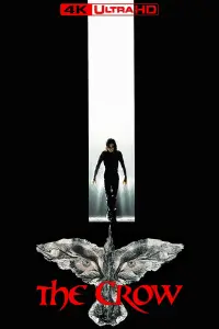 Poster to the movie "The Crow" #936610