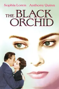 Poster to the movie "The Black Orchid" #995450