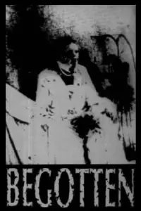 Poster to the movie "Begotten" #658986