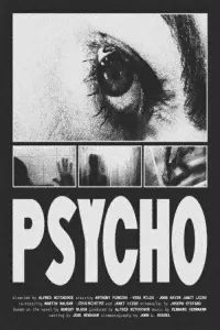 Poster to the movie "Psycho" #818932