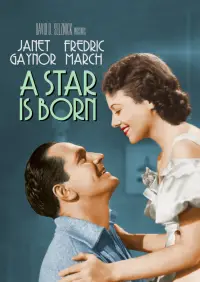 Poster to the movie "A Star Is Born" #993089