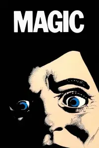 Poster to the movie "Magic" #958282