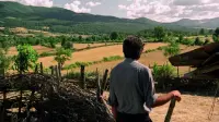 Backdrop to the movie "Clouds of May" #841858