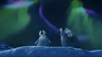 Backdrop to the movie "Happy Feet Two" #725501