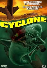Poster to the movie "Cyclone" #1042262