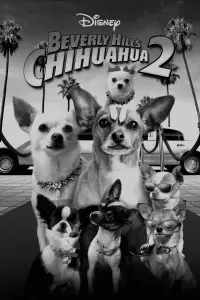 Poster to the movie "Beverly Hills Chihuahua 2" #600792