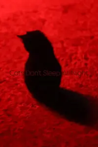 Poster to the movie "Cats Don