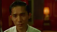 Backdrop to the movie "In the Mood for Love" #177902