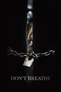 Poster to the movie "Don