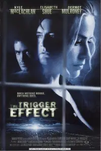 Poster to the movie "The Trigger Effect" #1033298