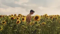Backdrop to the movie "Sunflower" #695565