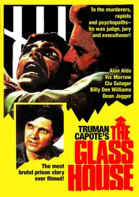 Poster to the movie "The Glass House" #1176853