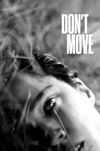 Poster to the movie "Don