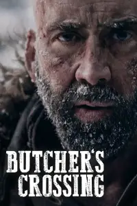 Poster to the movie "Butcher