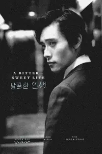Poster to the movie "A Bittersweet Life" #1001468