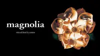 Backdrop to the movie "Magnolia" #949867
