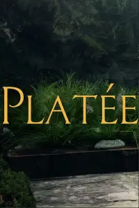 Poster to the movie "Platée" #791866