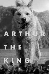 Poster to the movie "Arthur the King" #603403