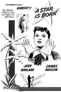 Poster to the movie "A Star Is Born" #1042523