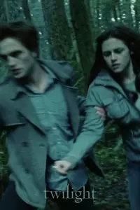 Poster to the movie "Twilight" #899649