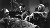 Backdrop to the movie "Son of Frankenstein" #788369