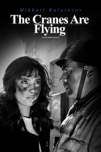 Poster to the movie "The Cranes Are Flying" #737065