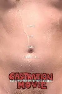 Poster to the movie "Castration Movie Anthology ii. The Best of Both Worlds" #908219